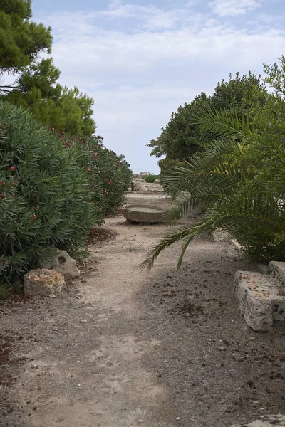 Selinunte Italië September 2018 Uitzicht Het Archeologisch Park Van Selinunte — Stockfoto