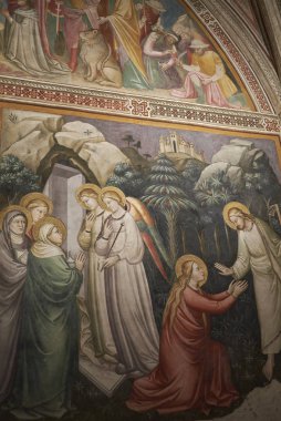 Floransa, İtalya - 01 Mart 2019 : Sacrestia At Officina profumo-farmaceutica di Santa Maria Novella shop