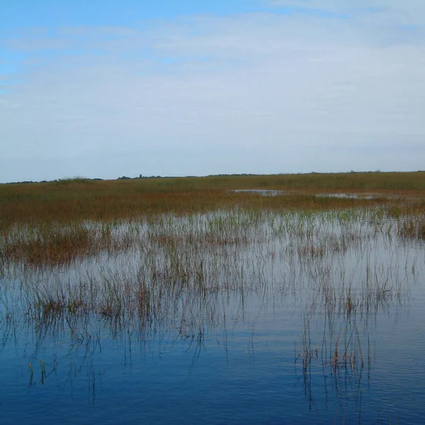 Miami Verenigde Staten November 2003 Uitzicht Everglades — Stockfoto