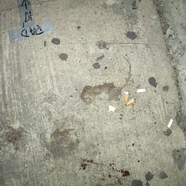 New York Amerikai Egyesült Államok Október 2008 Dead Mouse Street — Stock Fotó