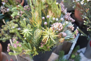 Milano, İtalya - 17 Aralık 2017 : Kış çiçek kompozisyonu