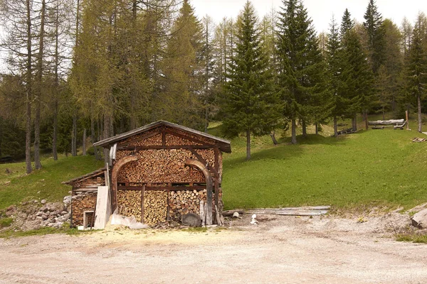 Passo San Pellegrino Italy June 2013 Woodshed — Stock Photo, Image