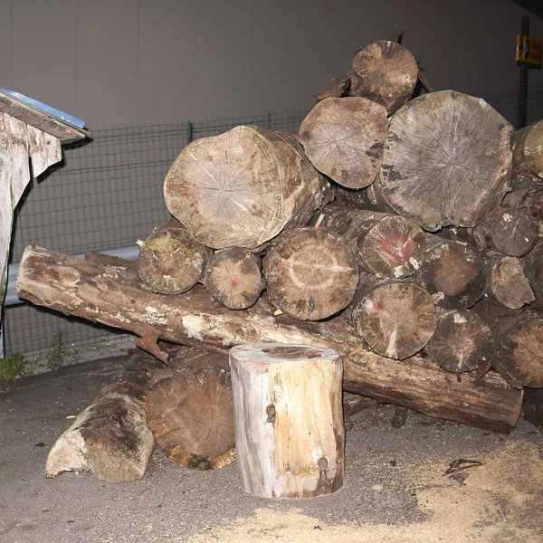 Фолгария Италия Июля 2013 Woodpile — стоковое фото