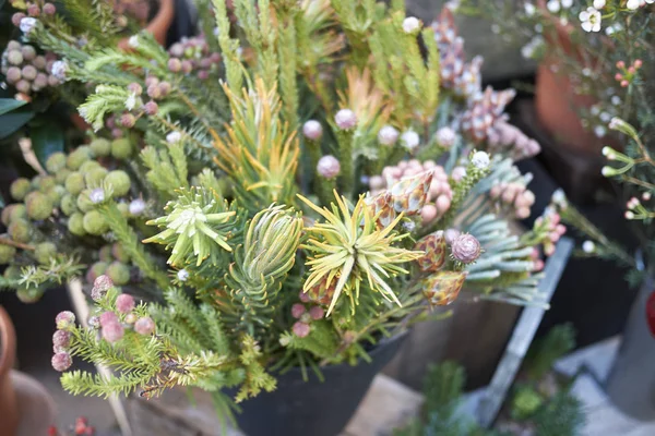 Milano, İtalya - 17 Aralık 2017 : Kış çiçek kompozisyonu