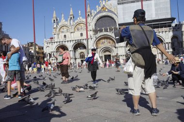Venezia, İtalya - 08 Eylül 2015 : Piazza San Marco'da turistler ve güvercinler