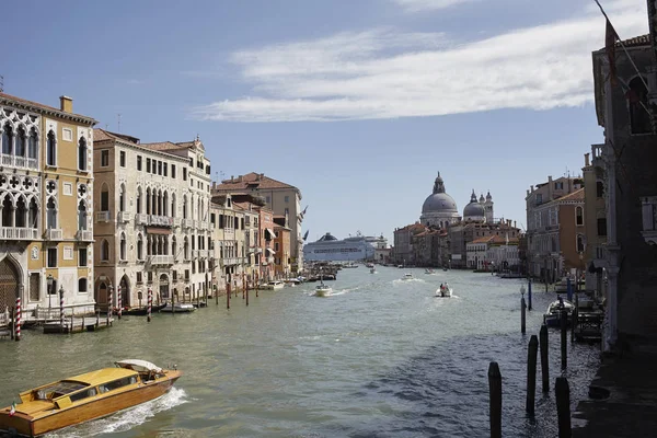 Venezia, İtalya - 08 Eylül 2015 : Accademia köprüsünden Canal Grande manzarası ve arka planda San Marco'ya yaklaşan büyük bir yolcu gemisi