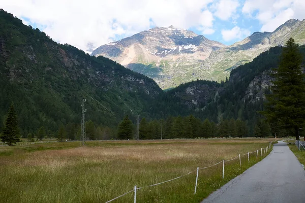 Cavaglia Zwitserland Juli 2020 Landschap Vanaf Treinstation Cavaglia — Stockfoto