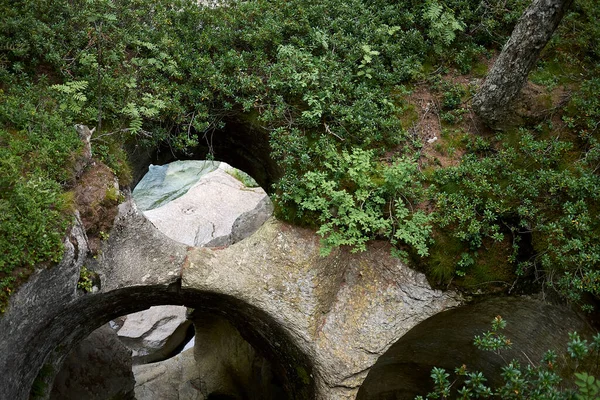 Cavaglia Schweiz Juli 2020 Blick Auf Giganten Töpfe Garten Des — Stockfoto