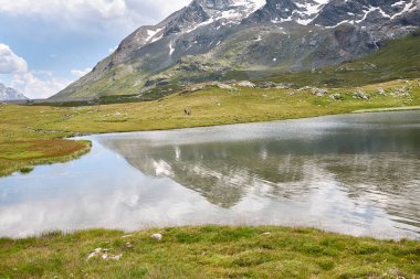 Bernina Geçidi 'nden İago Nero' nun görüntüsü