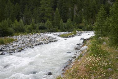 Morteratsch, İsviçre - 21 Temmuz 2020: Morteratsch Buzulu nehri manzarası