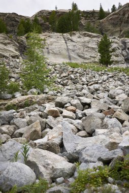 Morteratsch, İsviçre - 22 Temmuz 2020: Morteratsch Buzul Yolu