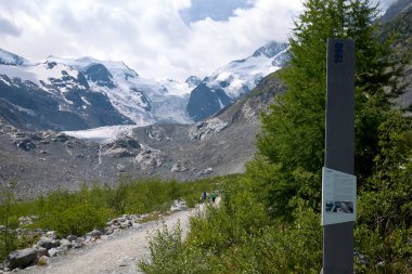 Morteratsch, İsviçre - 22 Temmuz 2020: Morteratsch Buzul Yolu