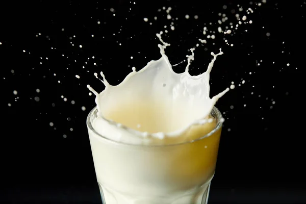 Splashing Drops Milk Glass Isolated Black Background — Stock Photo, Image