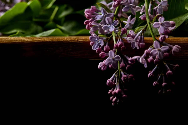 Γκρο Πλαν Πυροβολισμό Άνοιξη Λιλά Λουλούδια Στο Ξύλινο Τραπέζι Που — Φωτογραφία Αρχείου