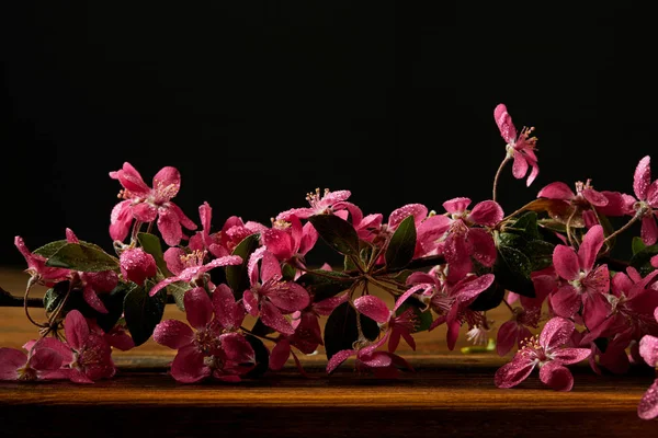 Gros Plan Belle Fleur Cerisier Rose Couchée Sur Une Table — Photo