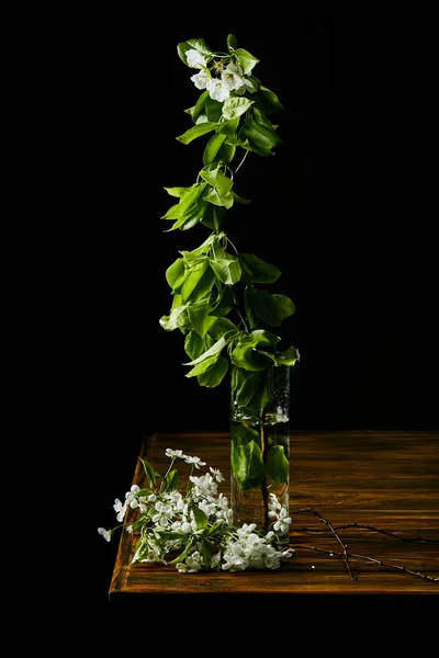 黑木桌上花瓶芳香樱桃花枝的特写镜头 — 图库照片