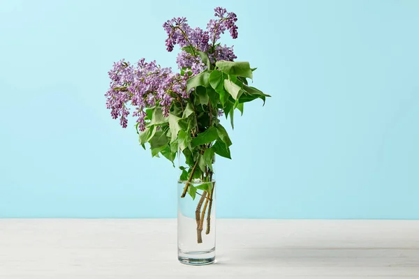 Nahaufnahme Von Schönen Lila Frühlingsblumen Der Vase Isoliert Auf Blau — Stockfoto