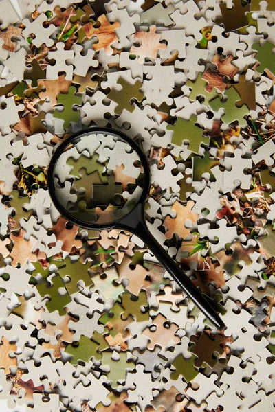 Vedere Sus Lupei Sticlă Piese Puzzle Jigsaw Gri — Fotografie de stoc gratuită