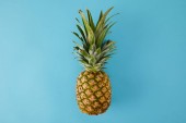 top view of ripe exotic pineapple fruit isolated on blue