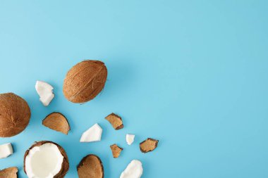 top view of arranged coconut pieces isolated on blue clipart