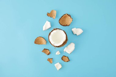 top view of arranged coconut pieces isolated on blue clipart