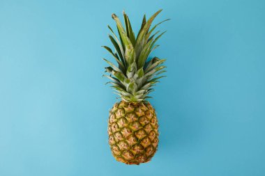 Olgun egzotik ananas meyve mavi izole üstten görünüm