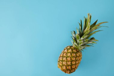 Olgun egzotik ananas meyve mavi izole üstten görünüm