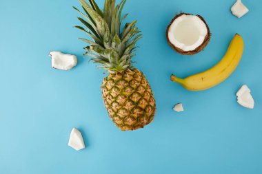 mavi izole olgun ananas, muz ve Hindistan cevizi adet düz lay
