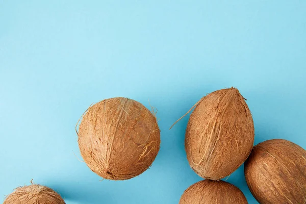 블루에 배열된 코코넛의 — 스톡 사진