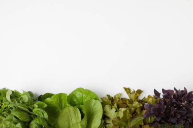 top view of various leaf vegetables on white surface clipart