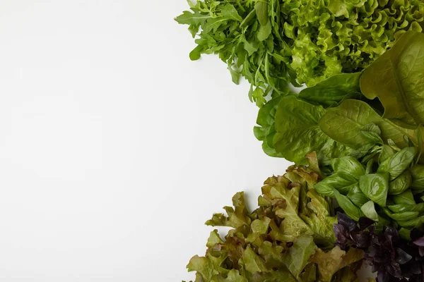 Vue Dessus Des Légumes Frais Feuilles Diverses Sur Surface Blanche — Photo