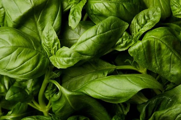 Full Frame Shot Fresh Green Basil Background — Stock Photo, Image