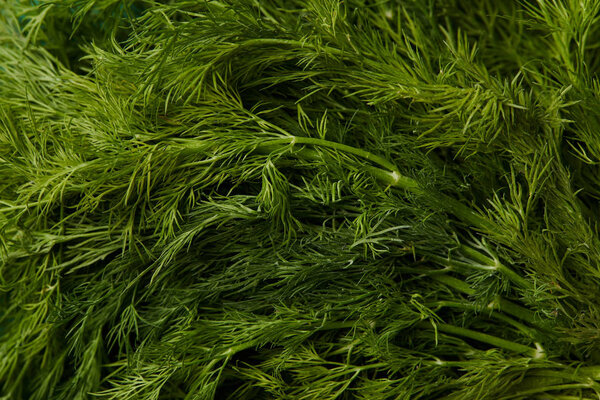 full frame shot of fresh dill for background