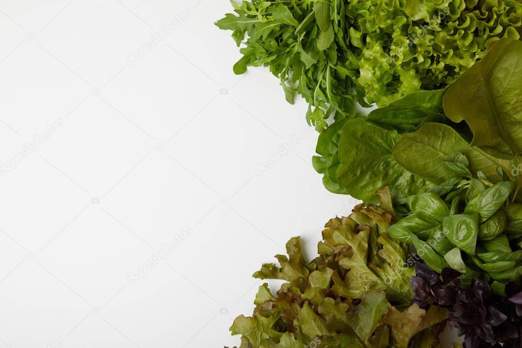 top view of fresh various leaf vegetables on white surface