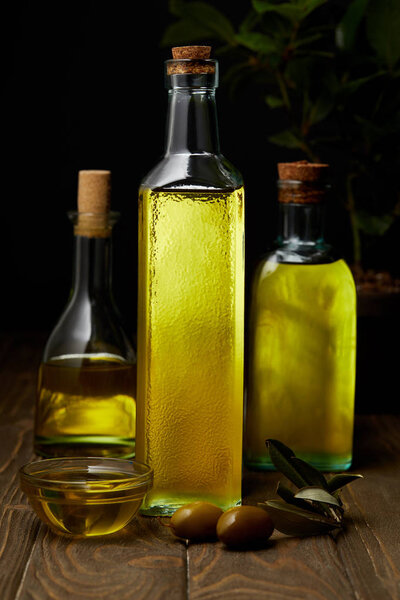 bottles of various olive oil on wooden tabletop