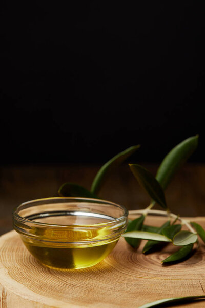 olive oil in bowl with branch on wooden board