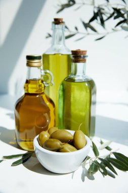 various bottles of aromatic olive oil, bowl with green olives and branches on white table clipart