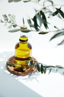 bottle with aromatic oil with green  olives on wooden board and branches on white table clipart