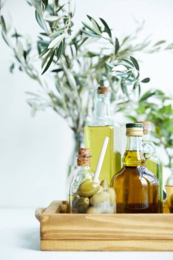kaşık ve yeşil zeytin, aromatik zeytinyağı ile ve ahşap tepsi dallarında çeşitli şişe cam