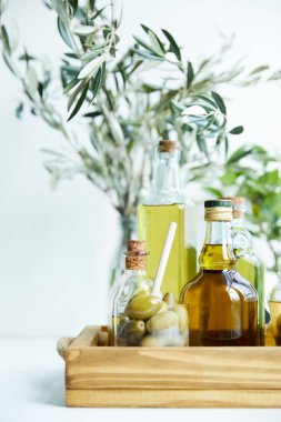 glass with spoon and green olives, various bottles of aromatic olive oil with and branches on wooden tray clipart