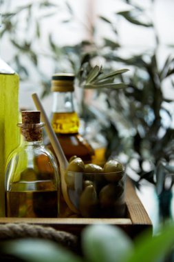 close up image of glass with spoon and green olives, bottles of aromatic olive oil with and branches on wooden tray clipart