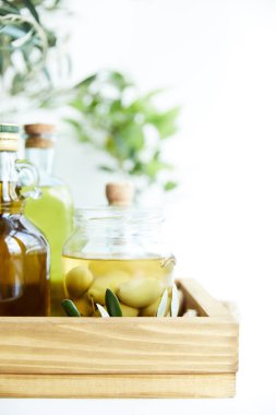 yakın çekim yeşil zeytin ile kavanoz görünümünü, aromatik zeytinyağı ile ve ahşap tepsi dallarda şişe