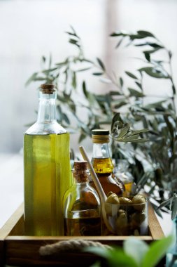 kaşık ve yeşil zeytin, aromatik zeytinyağı ile ve ahşap tepsi dallarda şişe cam