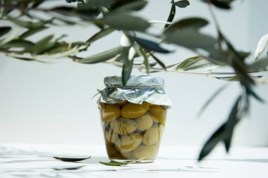 yeşil zeytin ve beyaz masa dallarda Aromatik yağı kavanoz