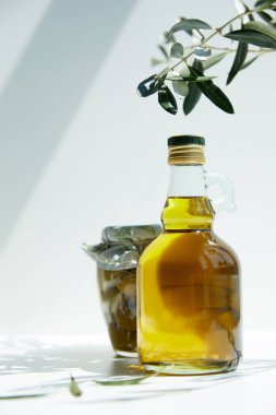 bottle of aromatic olive oil, branch and jar with green olives on table clipart