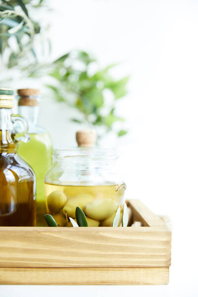 close up view of jar with green olives, bottles of aromatic olive oil with and branches on wooden tray