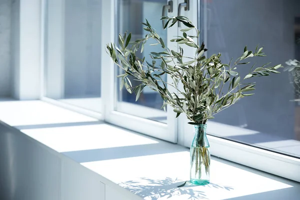 Flasche Mit Olivenzweigen Auf Fensterbank Mit Schatten — Stockfoto