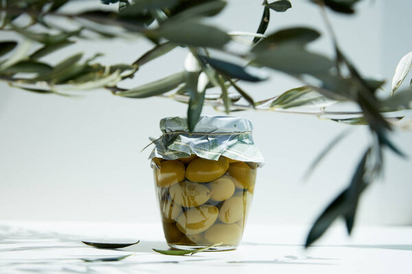 jar of aromatic oil with green olives and branches on white table
