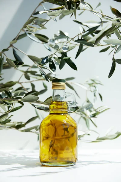 Botella Aceite Oliva Aromático Ramas Mesa Blanca — Foto de Stock