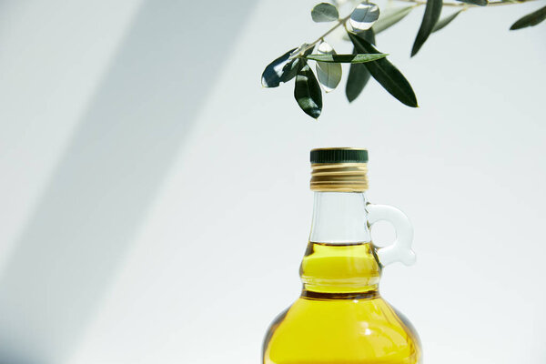 bottle of aromatic olive oil and branch on white background